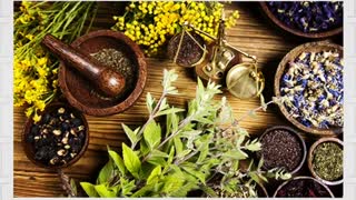 داروی گیاهی درمان بواسیر www.castelinagold.com مزوتراپی