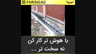 جالب بود (قسمت اخرش منظورمه)