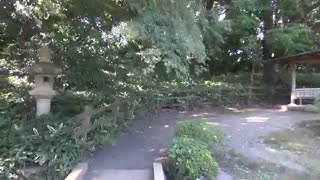 تصاویر واقعی‌ از پارک Shinjuku  Tokyo که در فیلم  The Garden of Words به تصویر کشیده شدند