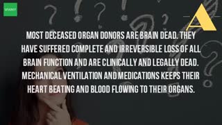 What Is Brain Dead Organ Donation