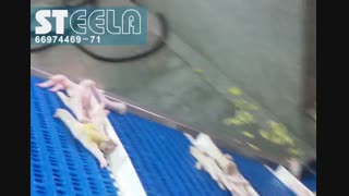 تسمه نقاله انتقال به فینیشر