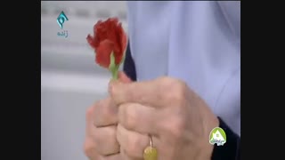 آموزشِ گل رز با خمیر چینی