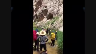 تنگه نوردی در لزور