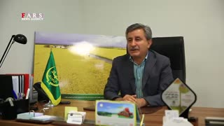 بازی کثیف رانت‌خوار بزرگ با بازار/ گاو‌هایی که فقط دلار می‌خورند!