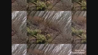 تور طبیعت گردی