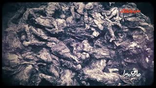 مارش میرا | روایت بزرگترین نسل کشی بعد از جنگ جهانی دوم