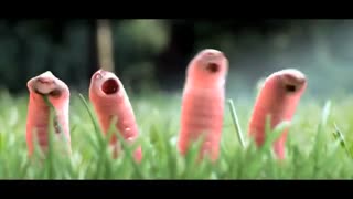 انیمیشن کوتاه و خنده دار کرم ها