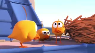 انیمیشن کوتاه و خنده دار کبوترها