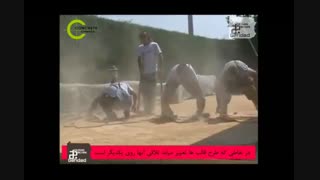 بتن استامپ   stamped concrete