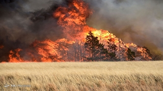 آتش سوزی گسترده در آمریکا