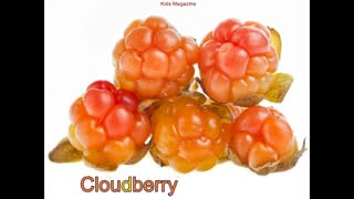 آموزش انگلیسی میوه ها به کودکان