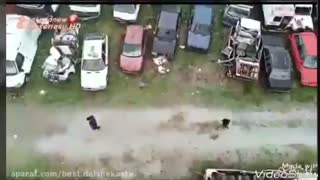 موزیک ویدیو جدید و زیای سجاد جوادی به نام تموم راه