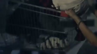 بچه ها بای من دارم  از نما میرم