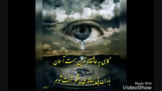 عاشقانه ای از جنس زیبایی .شعر و دکلمه امیر عاملی