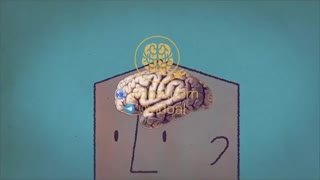 بدن ما چطور متوجه گذر زمان میشود؟