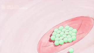 پس از خوردن دارو چه اتفاقی برای آن در بدن ما می افتد؟