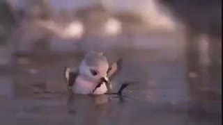 از هیچ چیز هراس نداشته باش و شجاع پیش یرو