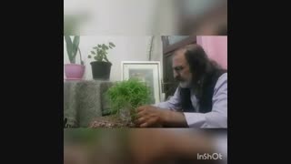 امیر عاملی.ای شیخ بالا نشین