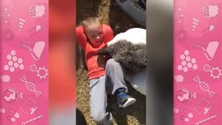 چقدر این بچه ها نازن