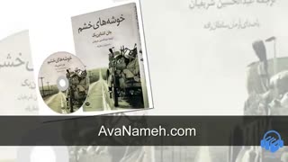 کتاب صوتی خوشه های خشم