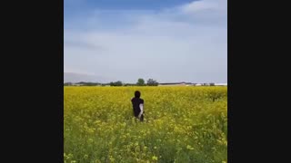 آنه -_- خدایا این اسکول هارو شفانده تایکم بخندیم