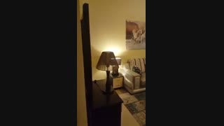 بهترین پانسیون دبی در سال 2018