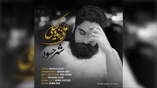 علی زند وکیلی - شهر حسود