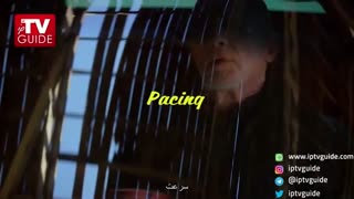 نقد سریال Better Call Saul