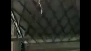 پارکور حرفه ای