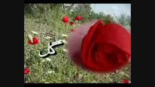 چه میشد فریب درختان-سروده استاد مرتضی کیوان هاشمی