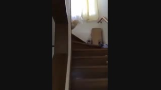 چون دیدم،هنوز خوابیدوخوابتون سنگینه،گفتم،شخصا بیام بیدارتون کنم