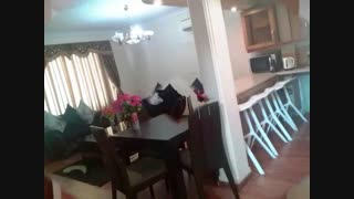 اجاره سوئیت کیش 09195000062 - 09174900900  kish7.com