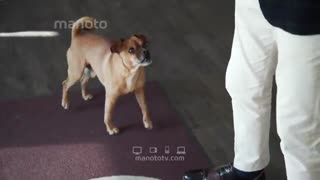 مصاحبه با رضا شهری طراح و گریمور ایرانی در آلمان - مد و فشن