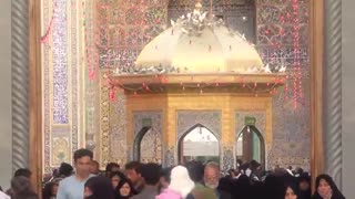 آواهای رضوی ایران زمین - نوای کرمانی «فرامرز زارعی»