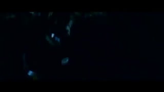دانلود تریلر فیلم A Quiet Place 2018