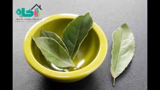 کاهش چربی خون با داروهای گیاهی