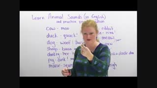 آموزش زبان خارجه 100% تضمینی_09130919448