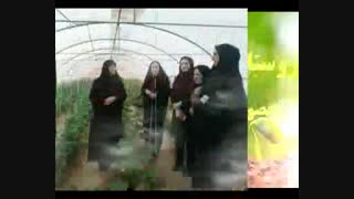 گذری بر زندگی زنان روستایی