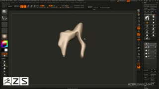 پک جامع آموزش زیبراش مبتدی تا پیشرفته (صفر تا صد) | کلاس آموزش زیبراش