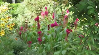 باغ گل آناهیتا یک محیط گردشگری و توریستی در گیلان