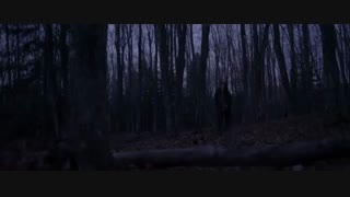 دیجی کالا ایران|digikalairan.com