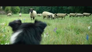 دانلود فیلم  جادوگر کوچولو The Little Witch 2018