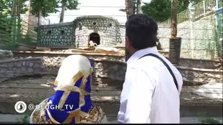 حالا چی ها