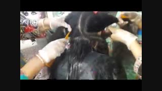 آموزش کامل کراتینه کردن مو_09130919448.www.118file.com