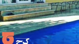 ویلا / اجاره / شیک/ استخردار ، شمال / جورپین