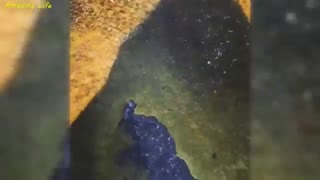 له کردن چیزای کیوت با ماشین❤★