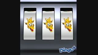 بینگوبازی