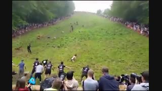 جشنوارهی خوشمزه پنیری!
