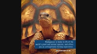 سفر به ماداگاسکار همراه با ترکیش ایرلاین ‌| Charter123