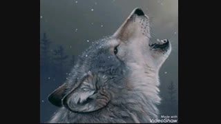 دوستان لطفا بیاین ممهمممم ت